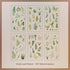 6 Sheets - PVC Scrapbooking Stickers Pack | Nature Flower Themed Style