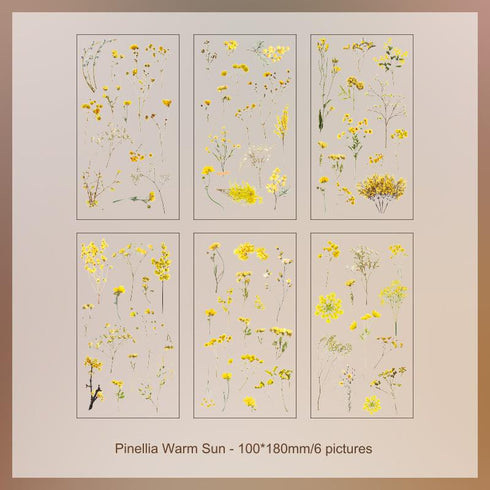 6 Sheets - PVC Scrapbooking Stickers Pack | Nature Flower Themed Style